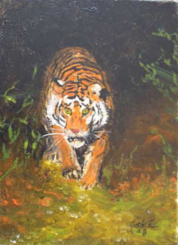 tigre